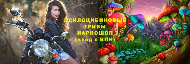 Псилоцибиновые грибы мицелий  Балашов 